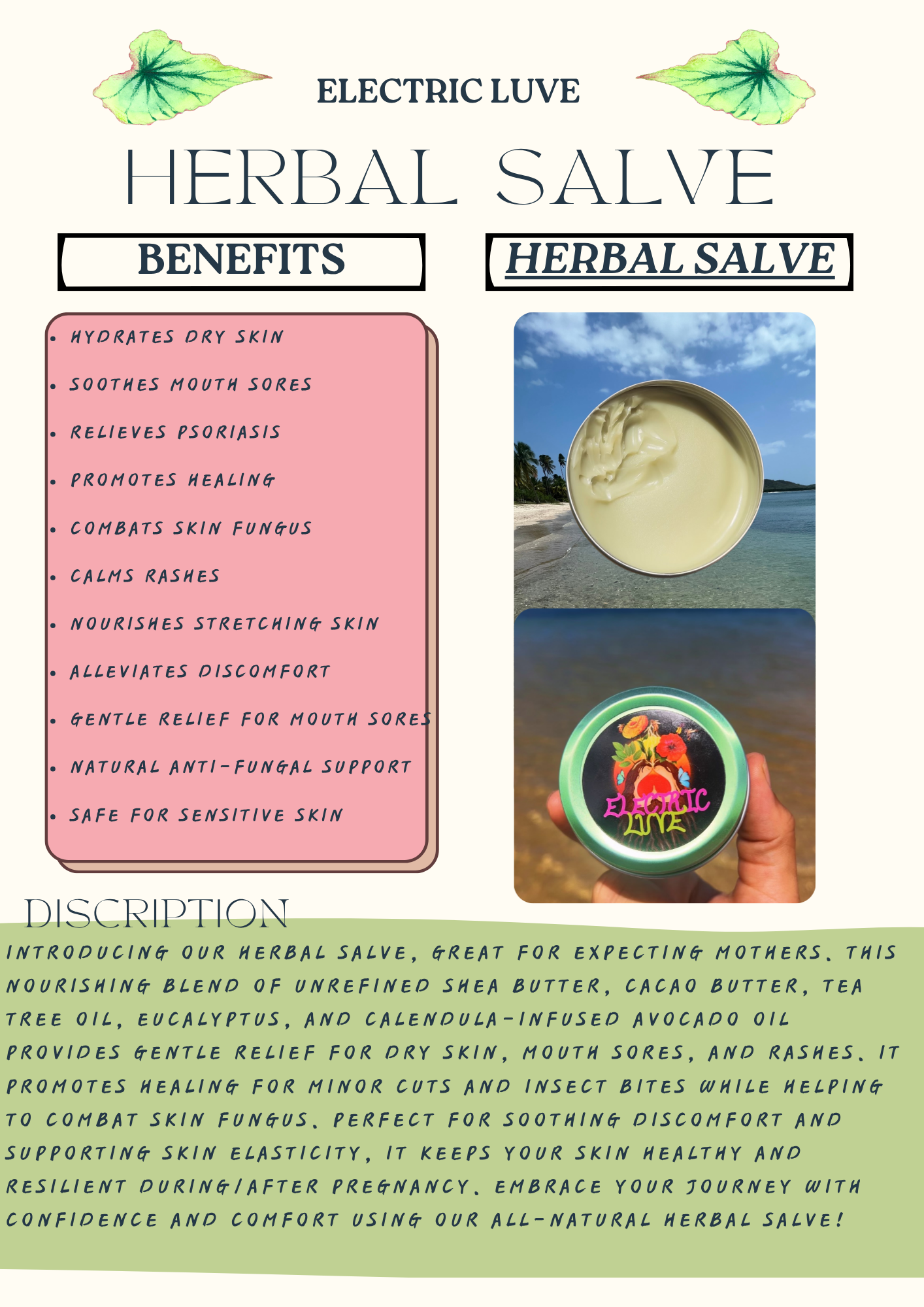 Herbal Salve 2oz - Image 2